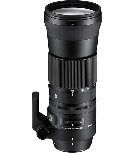 Amazon | シグマ 50-500mm F4-6.3 EX DG HSM キヤノン用
