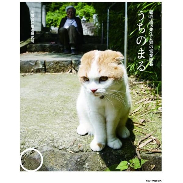 Amazon.co.jp: どスコい座り猫、まる。～養老孟司先生と猫の営業部長