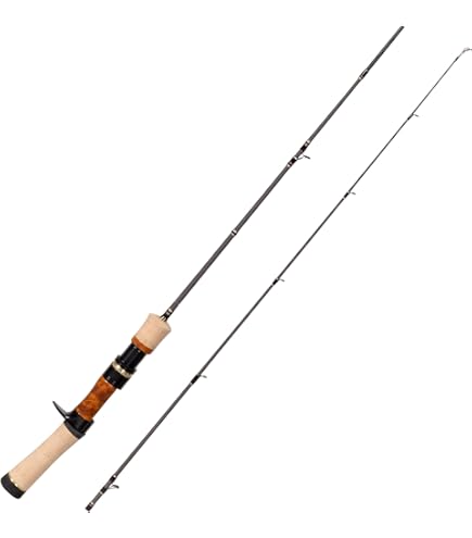 Amazon | パームス(Palms) エゲリアネイティブ パフォーマンス ETVS