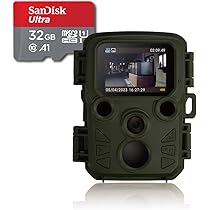 51RROiQdK9L._AC_UL210_SR210,