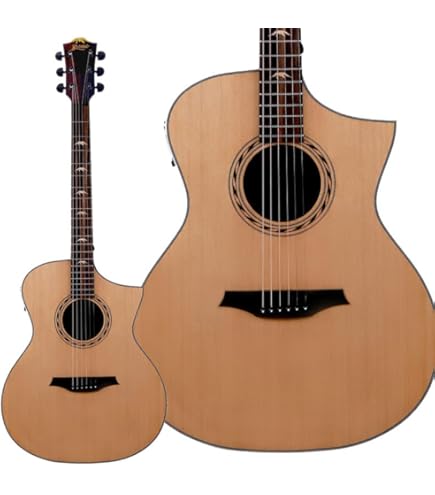 Amazon | Bromo BAT4CE エレアコギター トップ単板 ギグバッグ付属