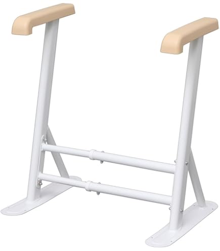 Amazon.co.jp: TOTO トイレ用手すり背もたれ付 EWC222 : ドラッグストア