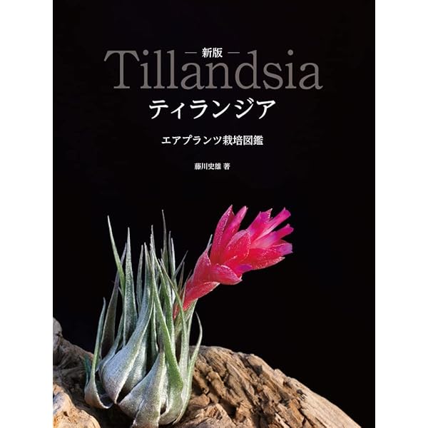 ティランジア・ハンドブック 改訂版 | 清水 秀男, 滝沢 弘之 |本