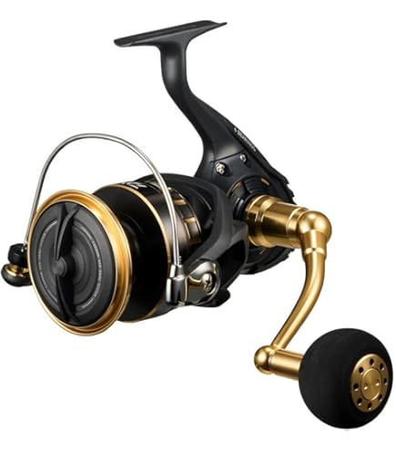 Amazon | ダイワ(DAIWA) スピニングリール 18 ブラスト LT4000-CXH