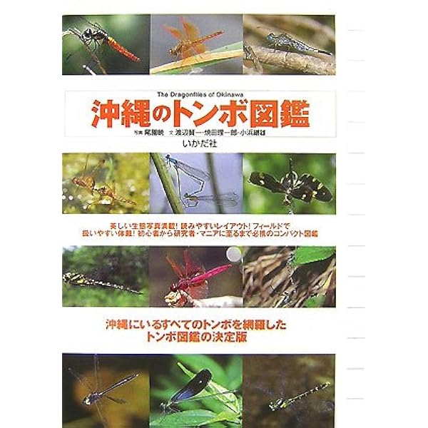 原色日本トンボ幼虫・成虫大図鑑 | 杉村 光俊, 石田 昇三, 小島 圭三
