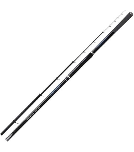 Amazon | 宇崎日新 ロッド ゼロサム 磯 尾長 V2 TYPE1 500 | 宇崎日新