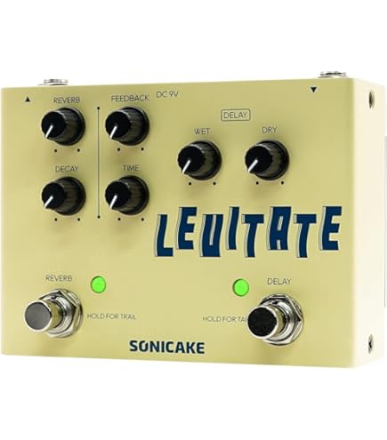 Amazon | tc electronic Flash Back DELAY & LOOPER ギター