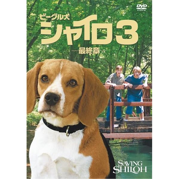 Amazon.co.jp: ビーグル犬 シャイロ 特別版 [DVD] : ブレーク