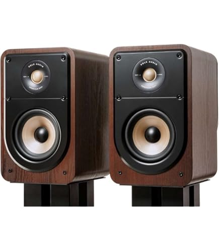 Amazon.co.jp: DALI スピーカー LEKTOR 1 [ペア] : 家電＆カメラ