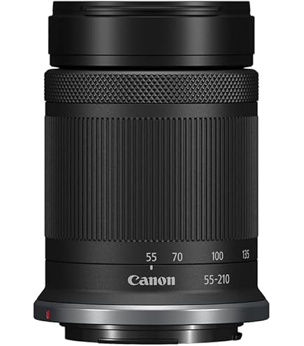 Amazon.co.jp: Canon レンズ EF-S55-250mm F4-5.6 IS STM : 家電＆カメラ
