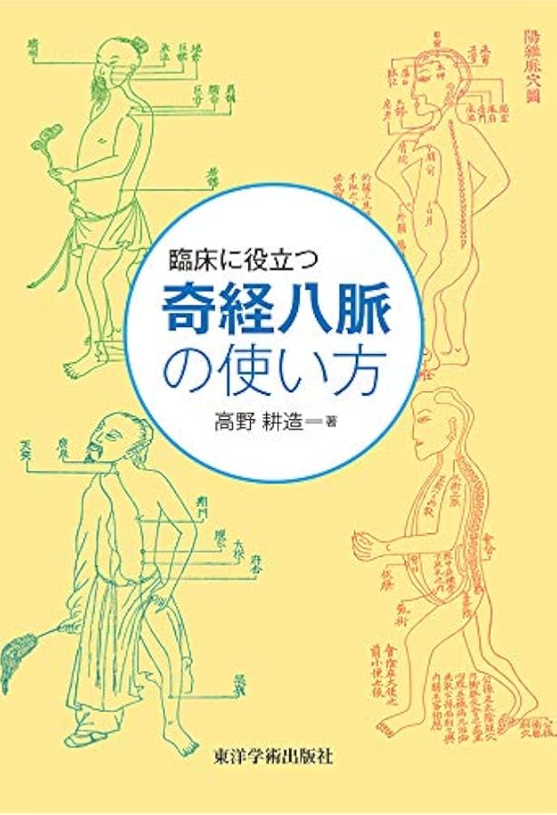 経別・経筋・奇経療法 | 入江 正 |本 | 通販 | Amazon