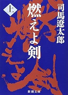 魔人”の生き様ここにあり。司馬遼太郎『燃えよ剣』 - 俺だってヒーロー