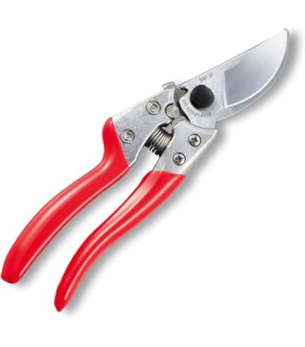 Amazon | アルスコーポレーション アルス 摘果鋏 ロングタイプ