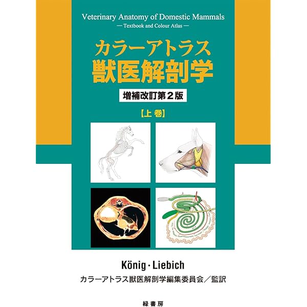新編家畜比較解剖図説 (上巻) | 加藤 嘉太郎, 山内 昭二 |本 | 通販