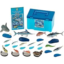 Amazon.co.jp: カロラータ 海水魚 立体図鑑 (15種 / スタンド・解説書