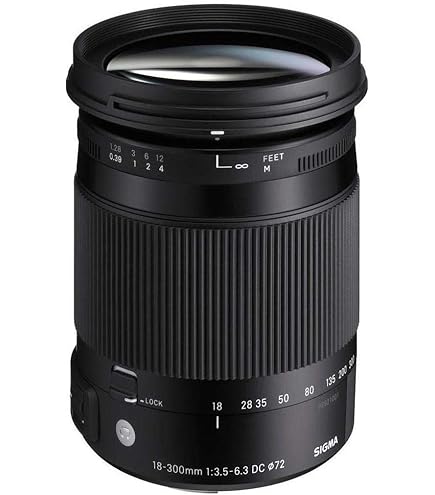 Amazon.co.jp: シグマ 28-300mm F3.5-6.3 DG MACRO キヤノン用 : 家電
