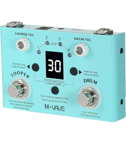 Amazon.co.jp: 【国内正規輸入品】DigiTech デジテック バンド