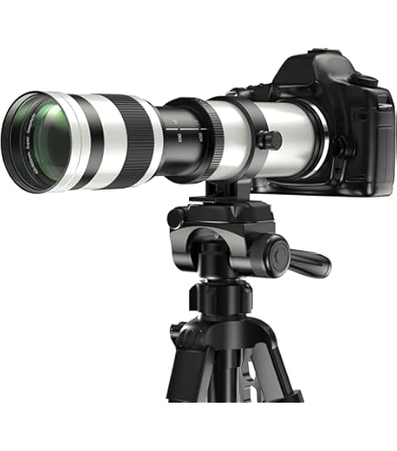 Amazon.co.jp: TAMRON 超望遠ズームレンズ SP AF200-500mm F5-6.3 Di