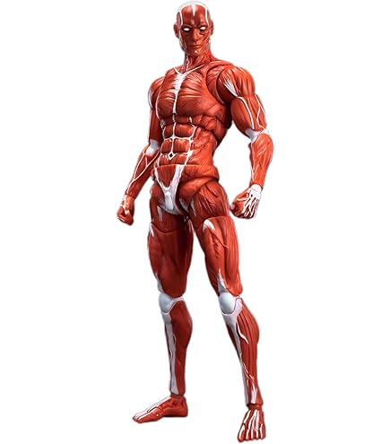 Amazon | 青春秘密基地 諏訪郡非公認 大怪獣シリーズ スワッコロン