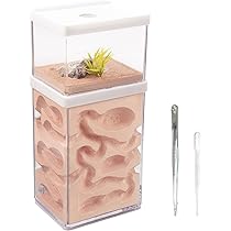 Amazon | Umora アリの巣 アリ飼育キット 石膏製巣箱 アリ観察キット