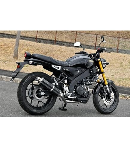 Amazon | DELKEVIC スリップオンカーボンオーバルマフラー☆SUZUKI