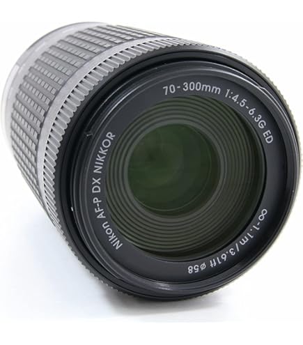 Amazon.co.jp: TAMRON AF28-300mm f3.5-6.3 XR Di ニコン用 A061N