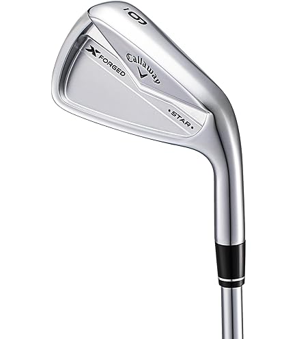 Amazon.co.jp: TITLEIST(タイトリスト) AP2 714 アイアン NSPRO950GH