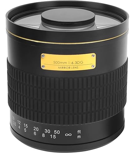 Amazon.co.jp: シグマ 170-500mm F5-6.3 APO DG キヤノン用 : 家電＆カメラ