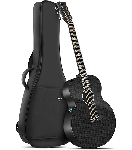 Amazon | Takamine DMP561C BL エレアコ | エレアコギター | 楽器