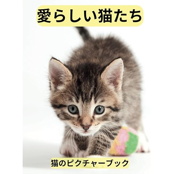 ほんわか、ほっこり、ゆる子ネコ (写真集) | Mac Marron, にゃんこ編集