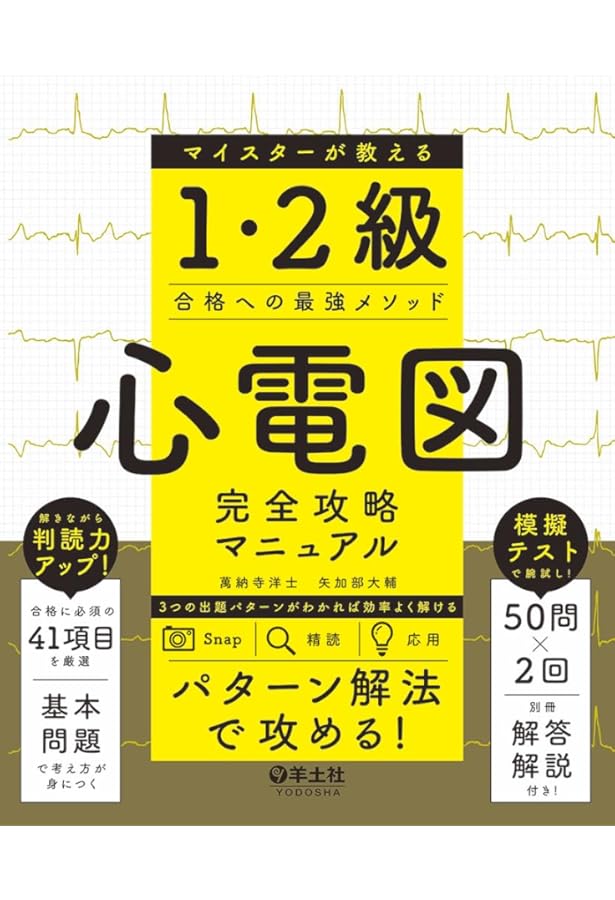 ER心電図の超速診断: 救急現場で初心者から役立つ | J.L.マーティン
