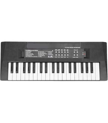 Amazon.co.jp: YAMAHA 電子キーボード piaggero(ピアジェーロ