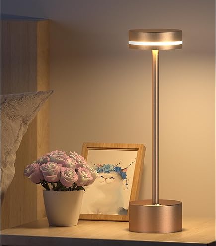 Amazon.co.jp: ポケモンセンターオリジナル スタンドライト ポケモン