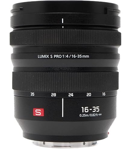 Amazon.co.jp: Panasonic LUMIX フルフレーム交換可能カメラレンズ L