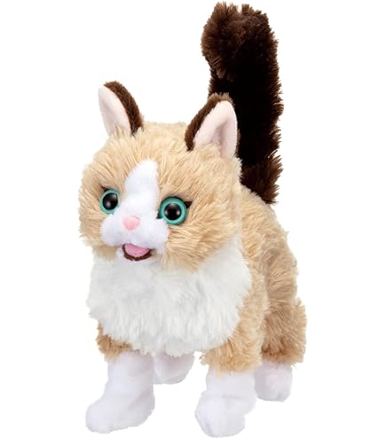 Amazon.co.jp: モーリーファンタジー MAESUKE マエスケ BIGぬいぐるみ