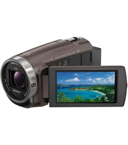Amazon.co.jp: SONY ビデオカメラ Handycam SR11 内蔵ハードディスク
