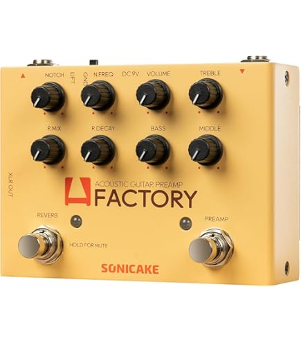 Amazon | L.R.BAGGS VENUE D.I. アコースティックギター用 プリアンプ