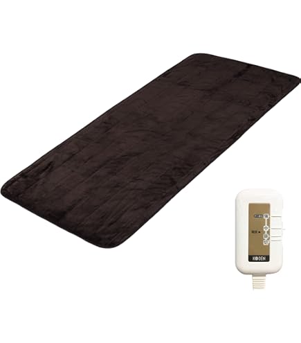 Amazon | パナソニック ねころんぼ(ホットマット) ブラウン DC-SN10F-T