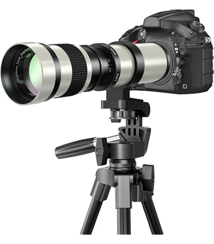 Amazon.co.jp: シグマ 170-500mm F5-6.3 APO DG ソニー用 : 家電＆カメラ