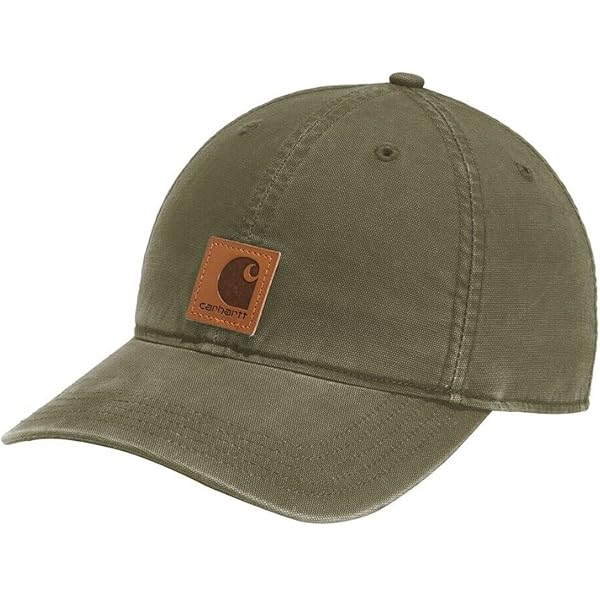 Amazon | Carhartt メンズ レインディフェンダー キャンバス イヤー