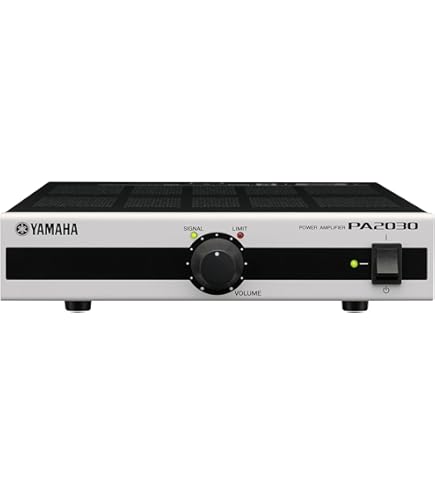 Amazon.co.jp: MASSIVE マッシブ 小型ステレオパワーアンプ (ロー