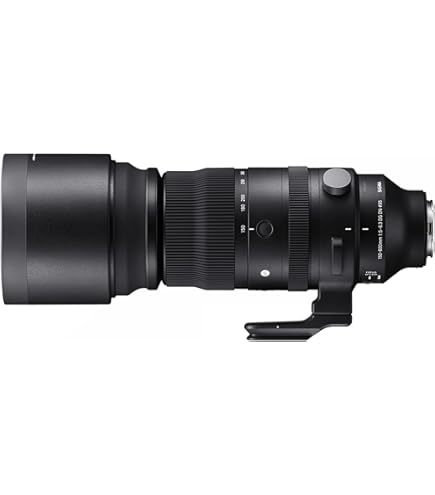 Amazon | SIGMA シグマ APO 170-500mm F5-6.3D for Nikon | カメラ用