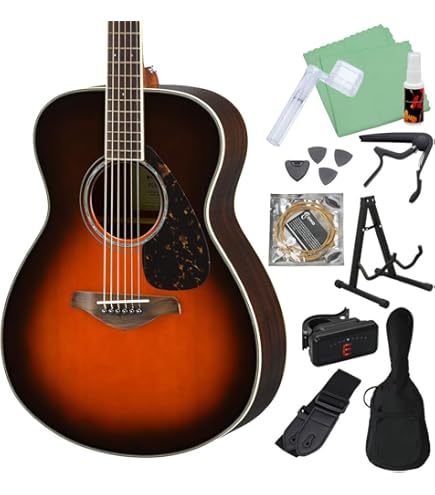 Amazon | YAMAHA LS6 ARE BS アコースティックギター初心者12点セット