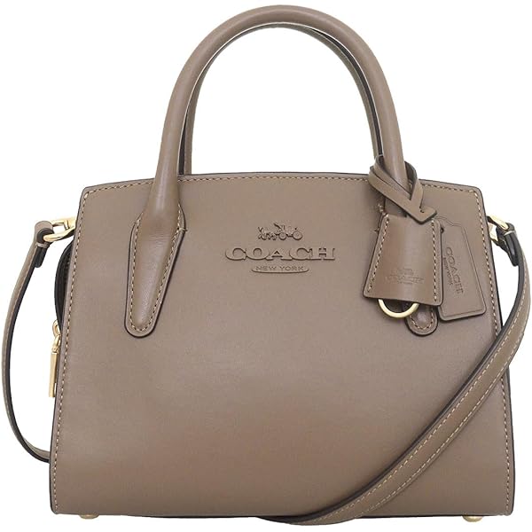 Amazon | [コーチ] メタリッククロスグレインレザー キャシディ ターン