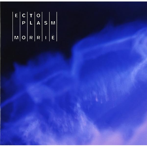 Amazon.co.jp: MORRIE 60th Birthday Celebration FLESH FATE FESTIVAL