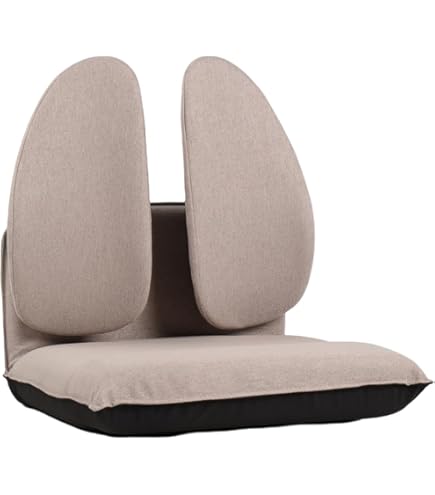 Amazon.co.jp: 東急スポーツオアシス 腹筋器具 ながら骨盤チェアSmart