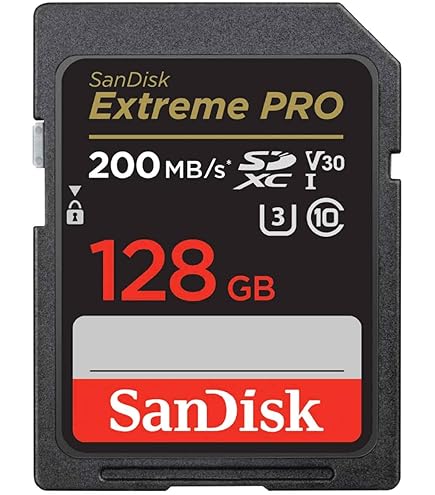 Amazon | Ricoh GR Digital IVデジタルカメラメモリカード2 x 8 GB安全