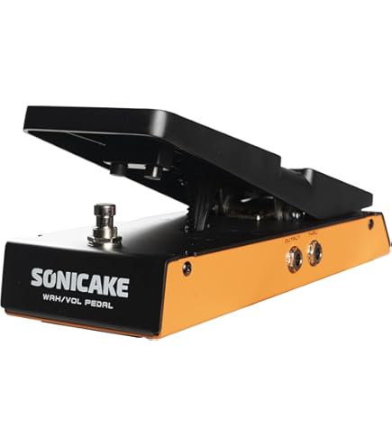 Amazon.co.jp: Source Audio SA161 Dual Expression Pedal Expression