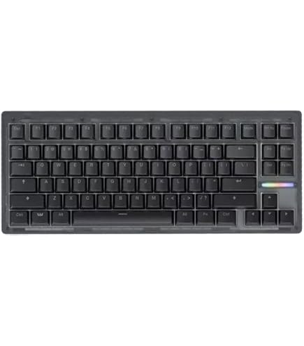 Amazon | Wooting 80HE Linear60 v2 英語配列 US-ANSI ラピッド