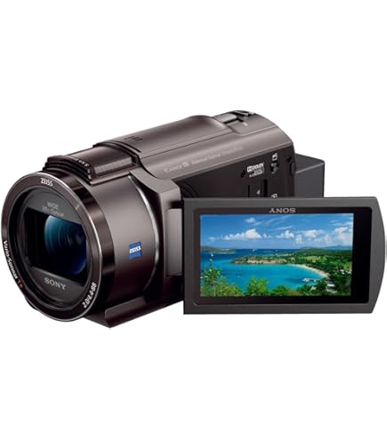 Amazon.co.jp: SONY HDDデジタルハイビジョンビデオカメラ Handycam